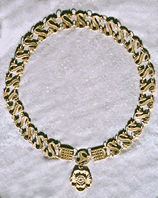 Livery Collar of SS