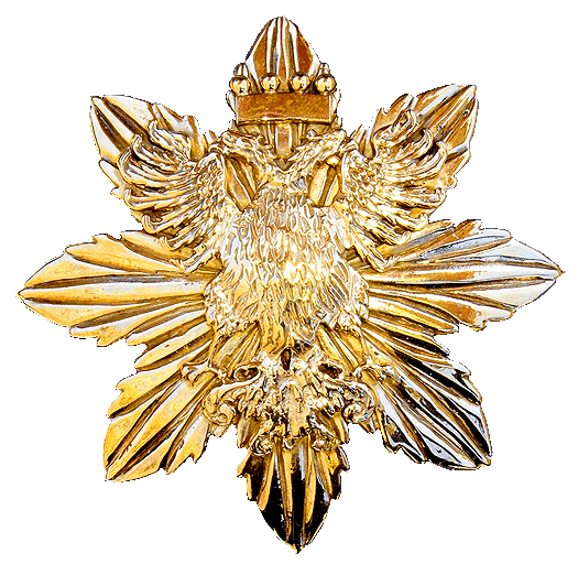 Kingdom of Vulgaria Gilt Breast Star